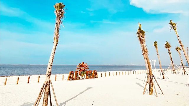 Pantai Pasir Putih ALOHA: Surga Eksotis yang Menawan